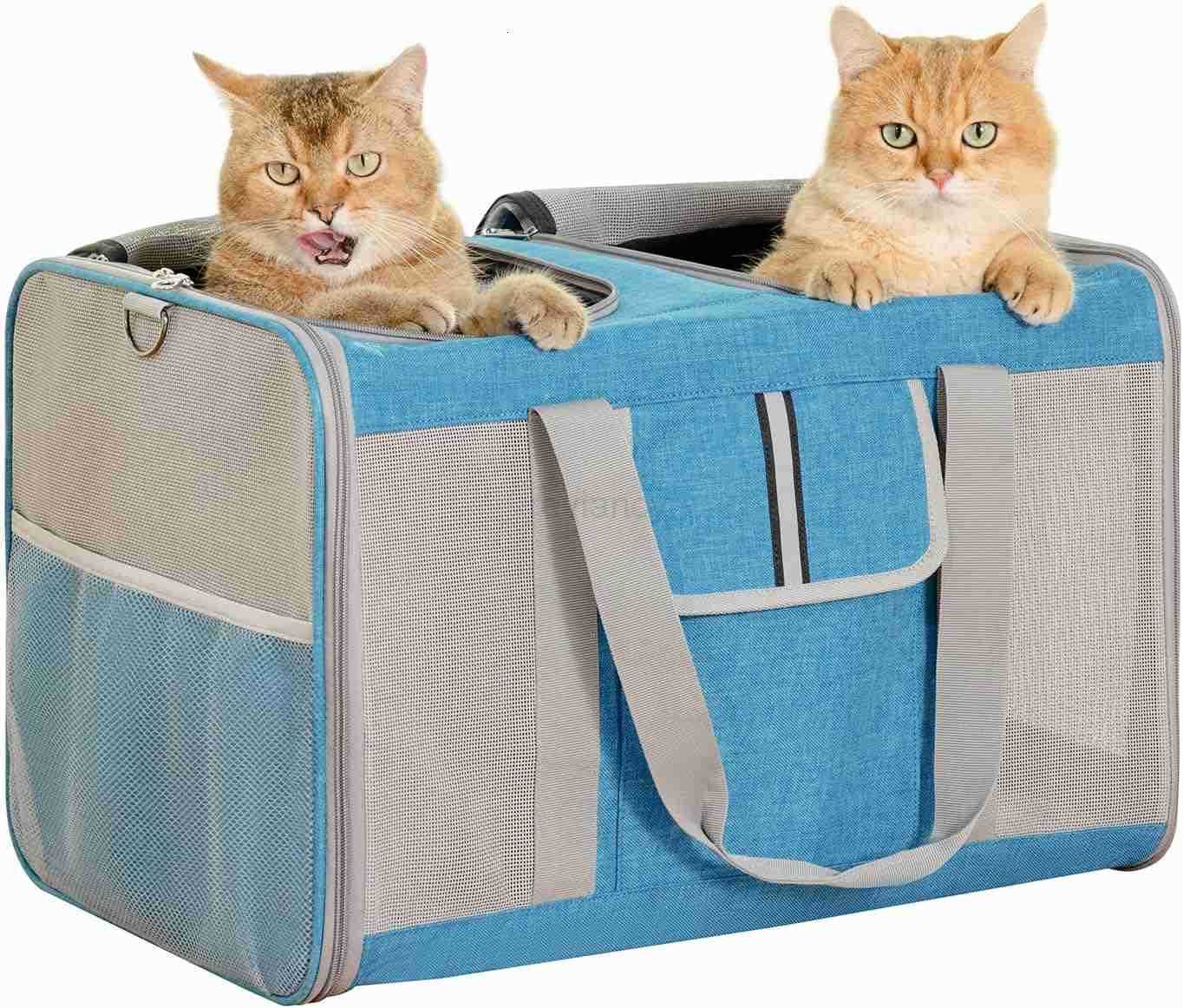 Pet Carrier for Large and Medium Cats 177X 106X 106in Carriers for 2 Kitties AllSided Mesh Cat Carrier with Great Ventilation Portable Soft Sided Carr