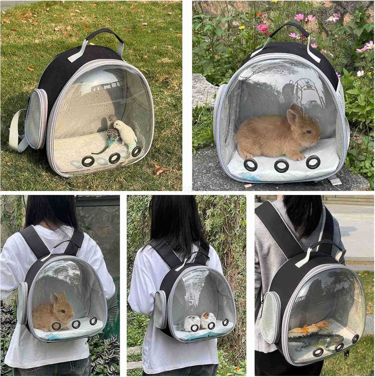 Small Animal Carrier Backpack Space Capsule Bubble Window Carrier Backpack for Lizard Guinea Pig BlackW250912