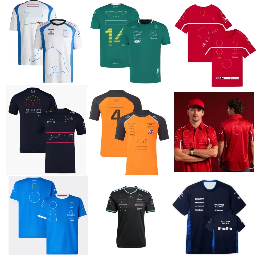 High quality Formula 1 T-shirt f1 t-shirt Racing Team T-shirts Fans Casual Breathable POLO Shirt Summer Car Jersey Shirts Plus Size Custom