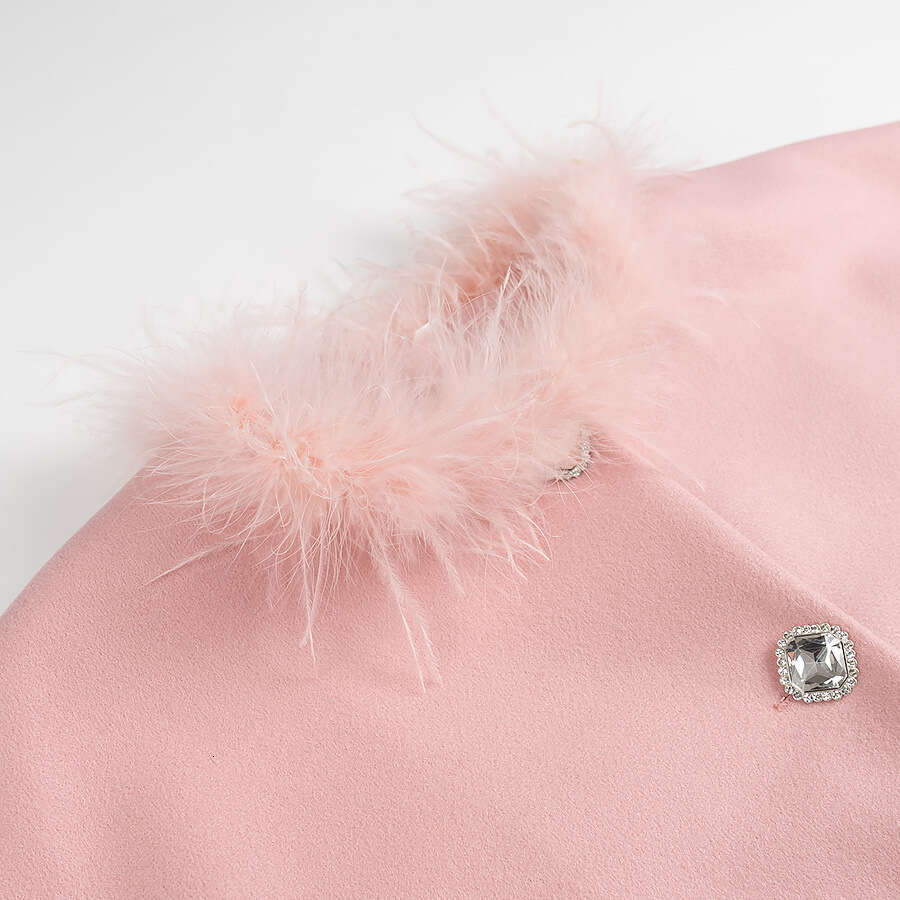 DHEssentials 2025 Spring New French Little Chanel Style Long Sleeve Fur Collar Short Wool Coat