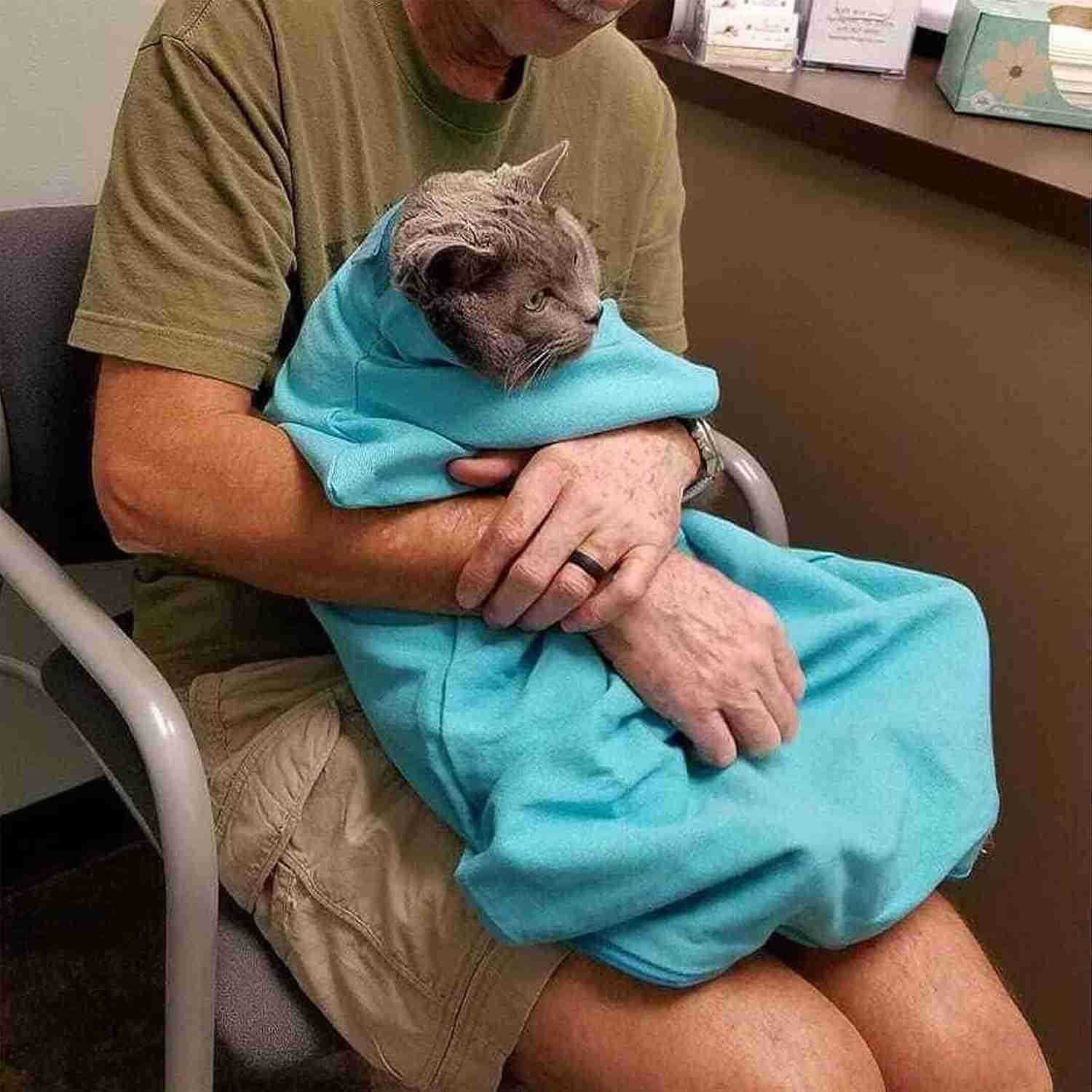 Cat Carrier Pouch Aberfields Cat Carrier Douch Cat Nail Clipping Cleaning Grooming Restraint Bag Very Suitable for Going Out with a KittenW250912