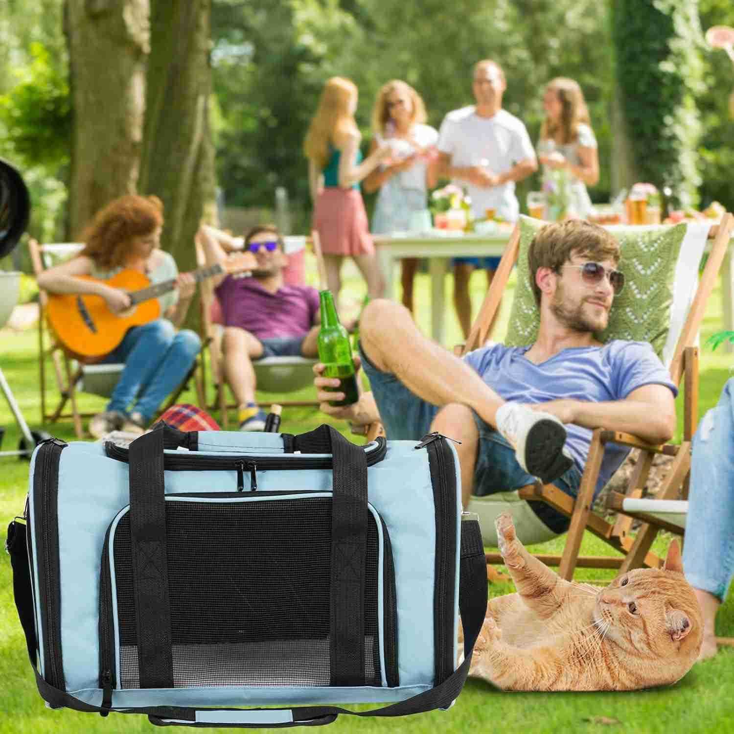 Travel in Style Portable Pet Carrier for Small Pets up to 15 Lbs Airline Approved Collapsible Comfortable catPuppy Soft Sided Bag BlueW250912