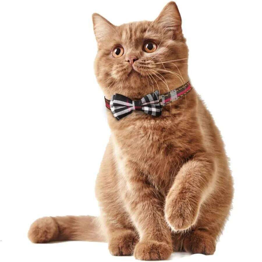 Dog Cat Collar Breakaway with Cute Bow Tie Bell for Kitty and Some Puppies Adjustable