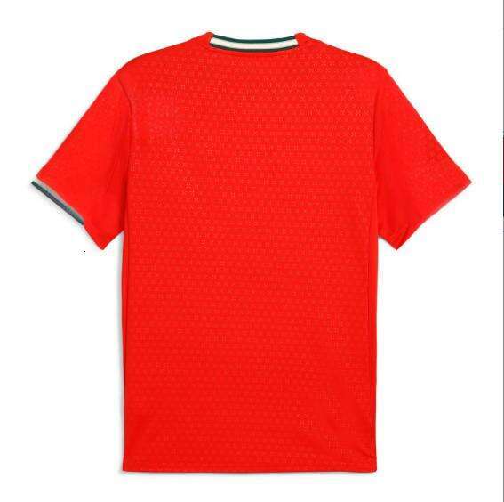 25 26 soccer RoNalDo Retro Long Sleeves Portuguese Jerseys JOAO FELIX RUBEN NEVES DI PORTUGIESER Portugal football shirt Team Men Kids kit Free shippi