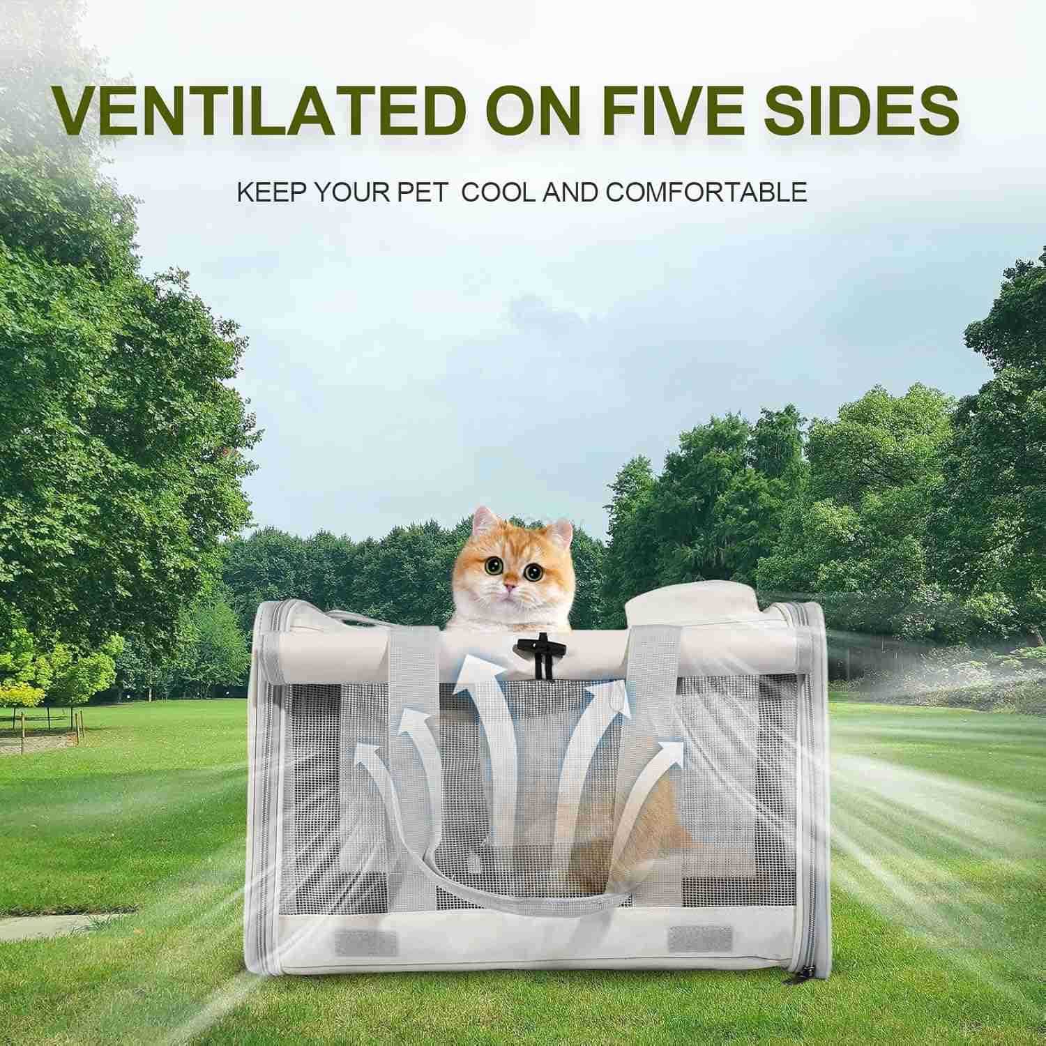Cat Carrier and Dog Carrier is Designed for Pets Weighing up to 16 lbsSoftSidedDurable and Collapsible Travel CarrierBreathable Mesh for VentilationAd