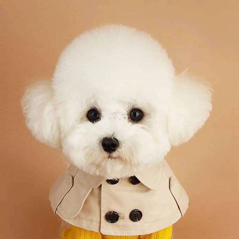 Dog shawl Fashion Pet Clothing Cape Pets Costume British Style Cloak Windbreaker CorgiFrench Bulldog Bib