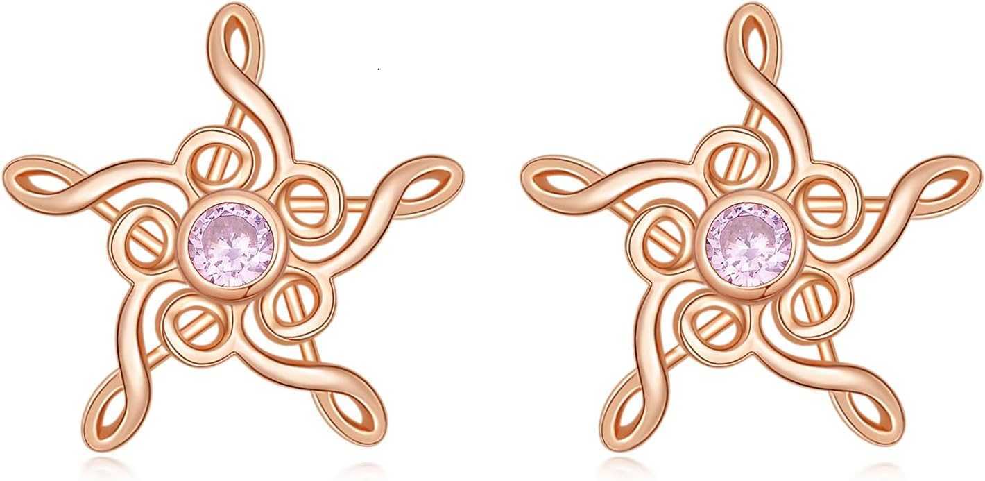 Music Earrings Studs for Women S925 Sterling Silver Musical Note Earring Gift Musical Gift for Music LoversW250911