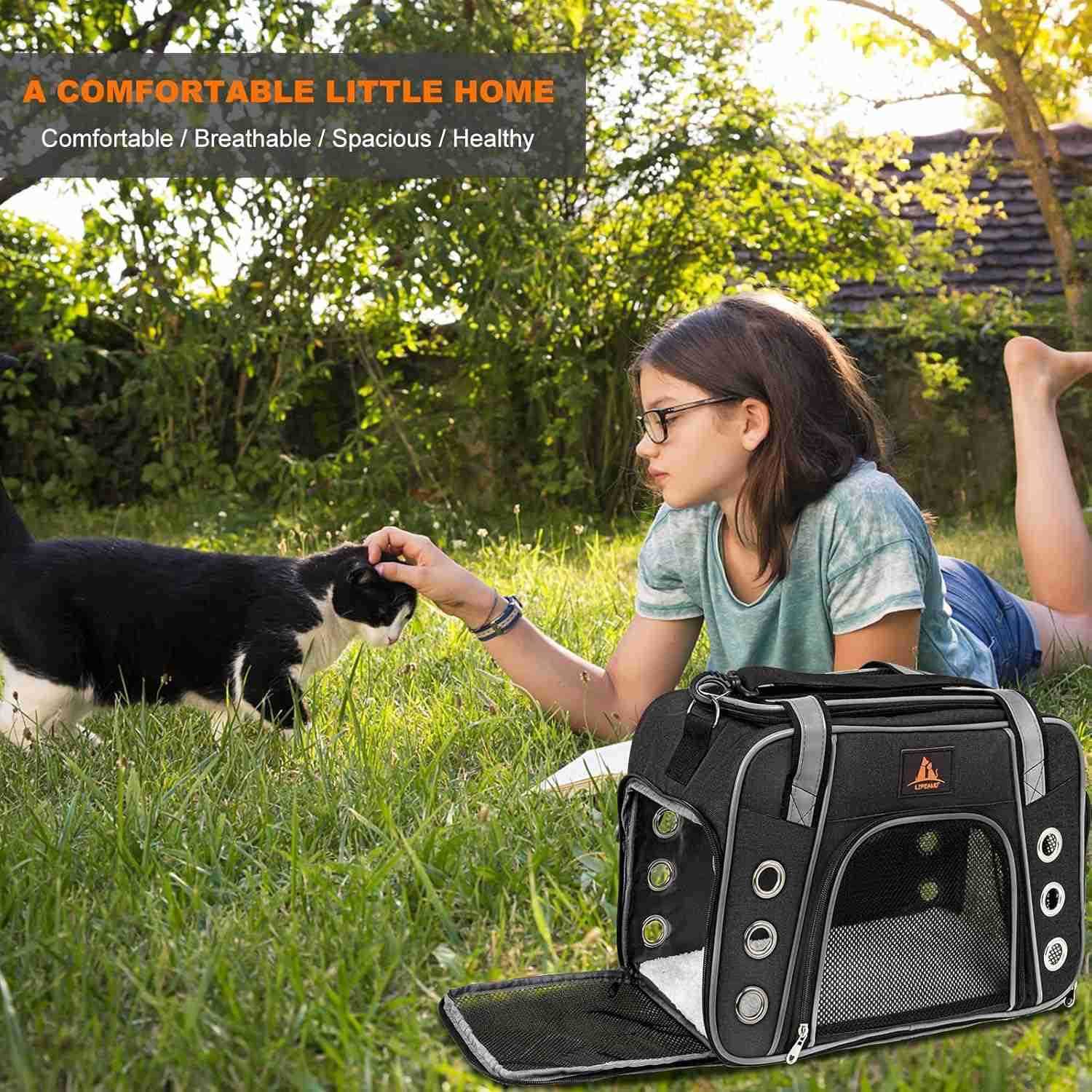 Cat Carrier for Large and Medium Cats Under 18lb Collapsible Soft Sided Pet Carrier Dog Carrier Airline Approved for Cats Small Dogs Kitten Pet Privac