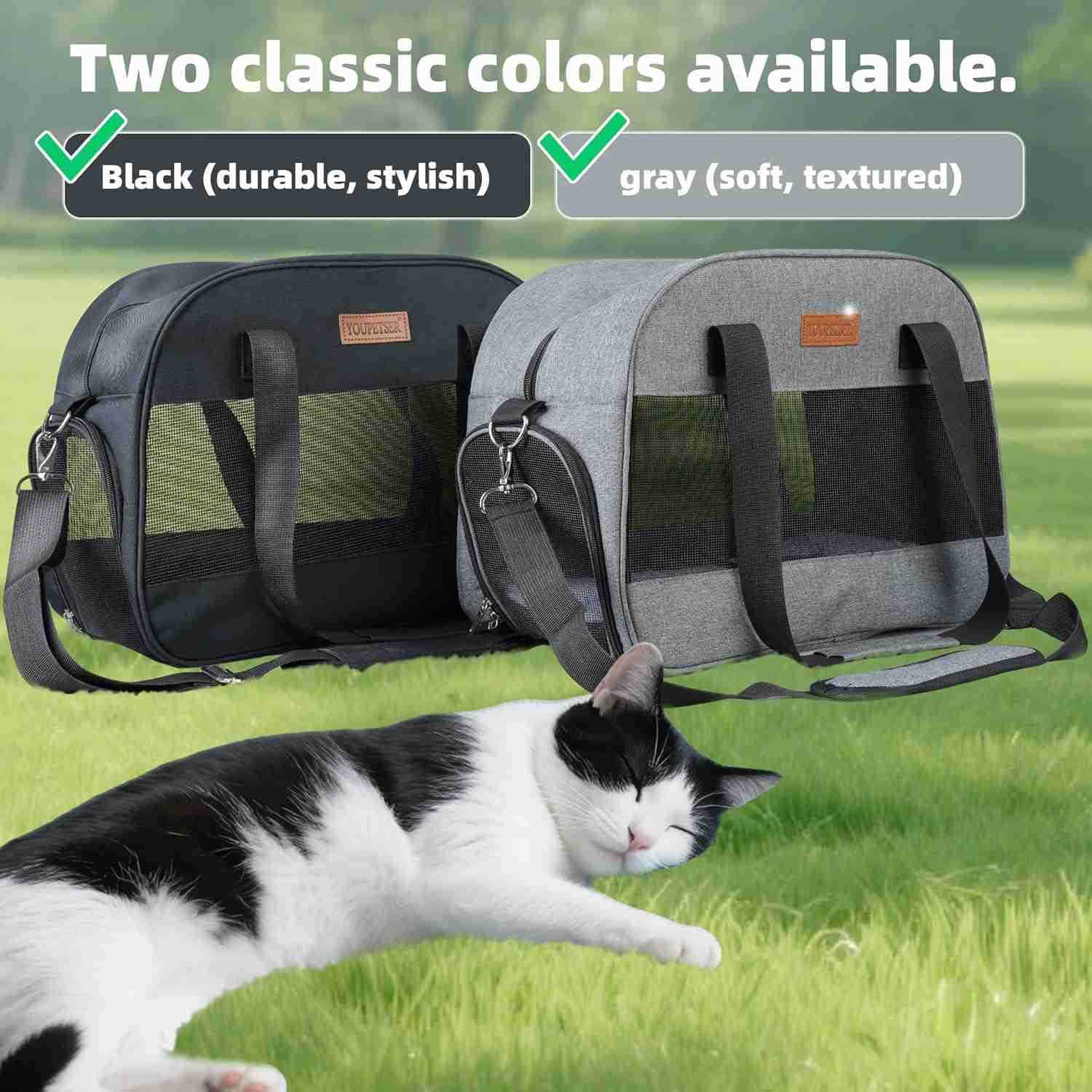 Cat Carrier for Small Cats Dogs SoftSided Pet Carrier for Cats Puppies Small Pets Lightweight Comfortable Travel Cat Dog Carrier GreyW250912