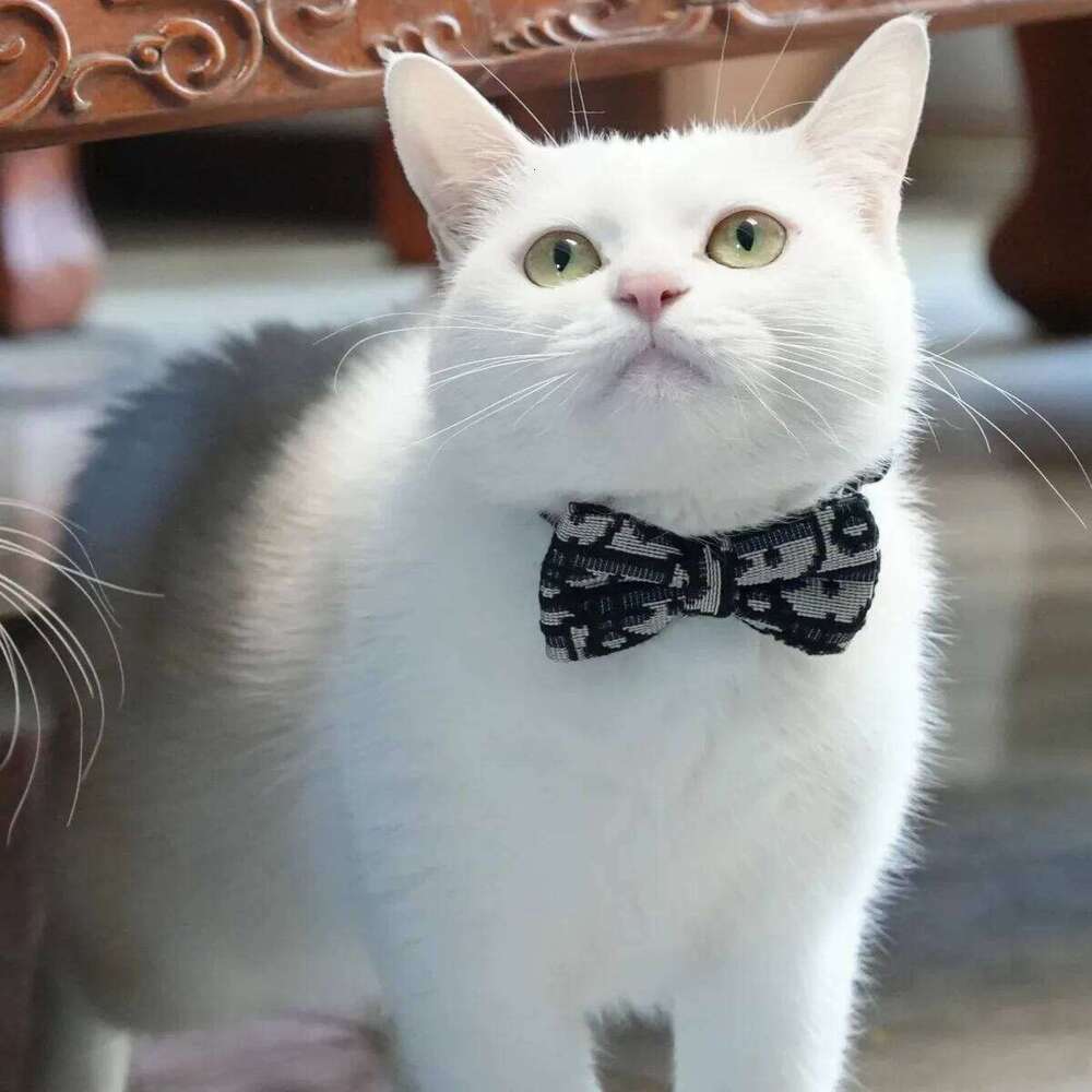 Dog Cat Collars Leash Stuff Pet Collar Cute Accessories Harnesses Leads Kitten Small Animal Detachable Harness Fashion