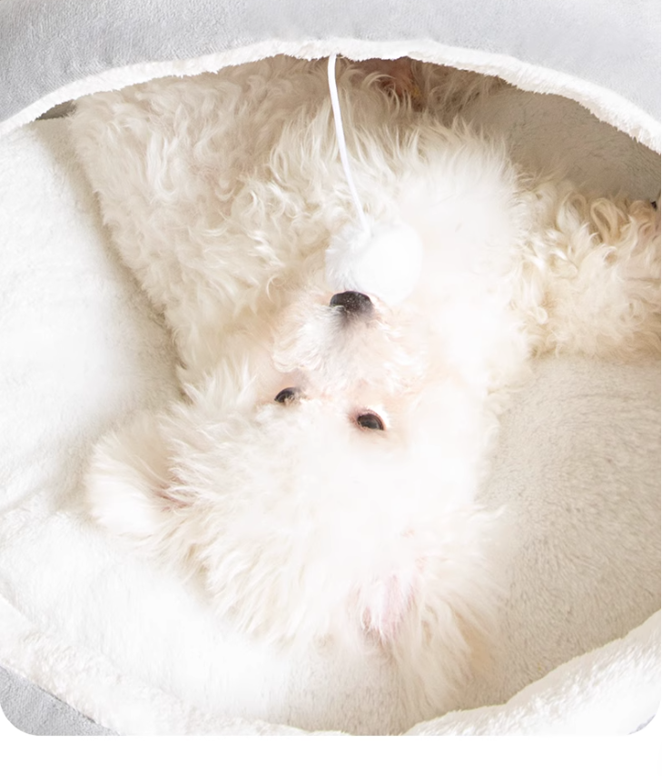 Winter Warming Small Dog Sleeping Bag: Portable, Machine Washable