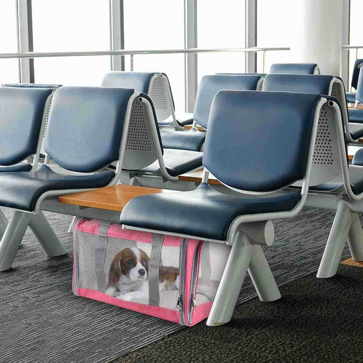 Cat Dog Carrier for Small Medium Cats Pet Carrier for Large and Medium Cats Puppies Portable Cat Carrier Soft Pet Carrier for Cats Cat Bag Carrier Air