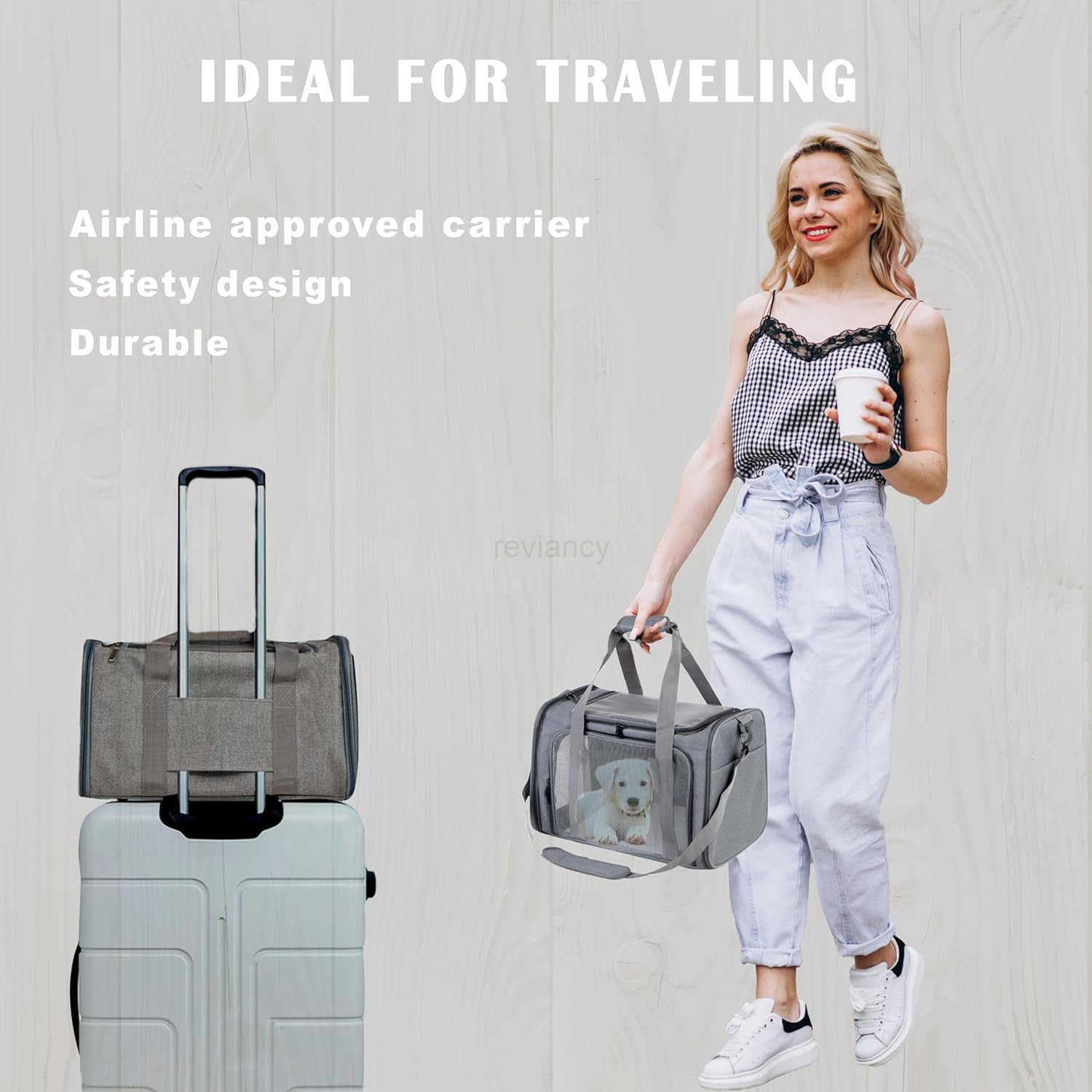 Airline Approved Soft Sided Pet Carrier for Small and Medium Dogs Cats and Puppies Up to 15 lbs Collapsible Portable Travel Bag for Dogs Cats GreyW250