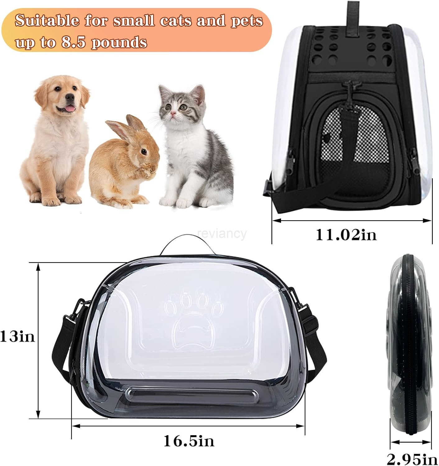 Clear Cat Carrier Hard Cat Bag Collapsible Portable Small Pet Carrier Bag for Cats Kitten Puppy Travel Hiking Walking Outdoor UseGreyW250912