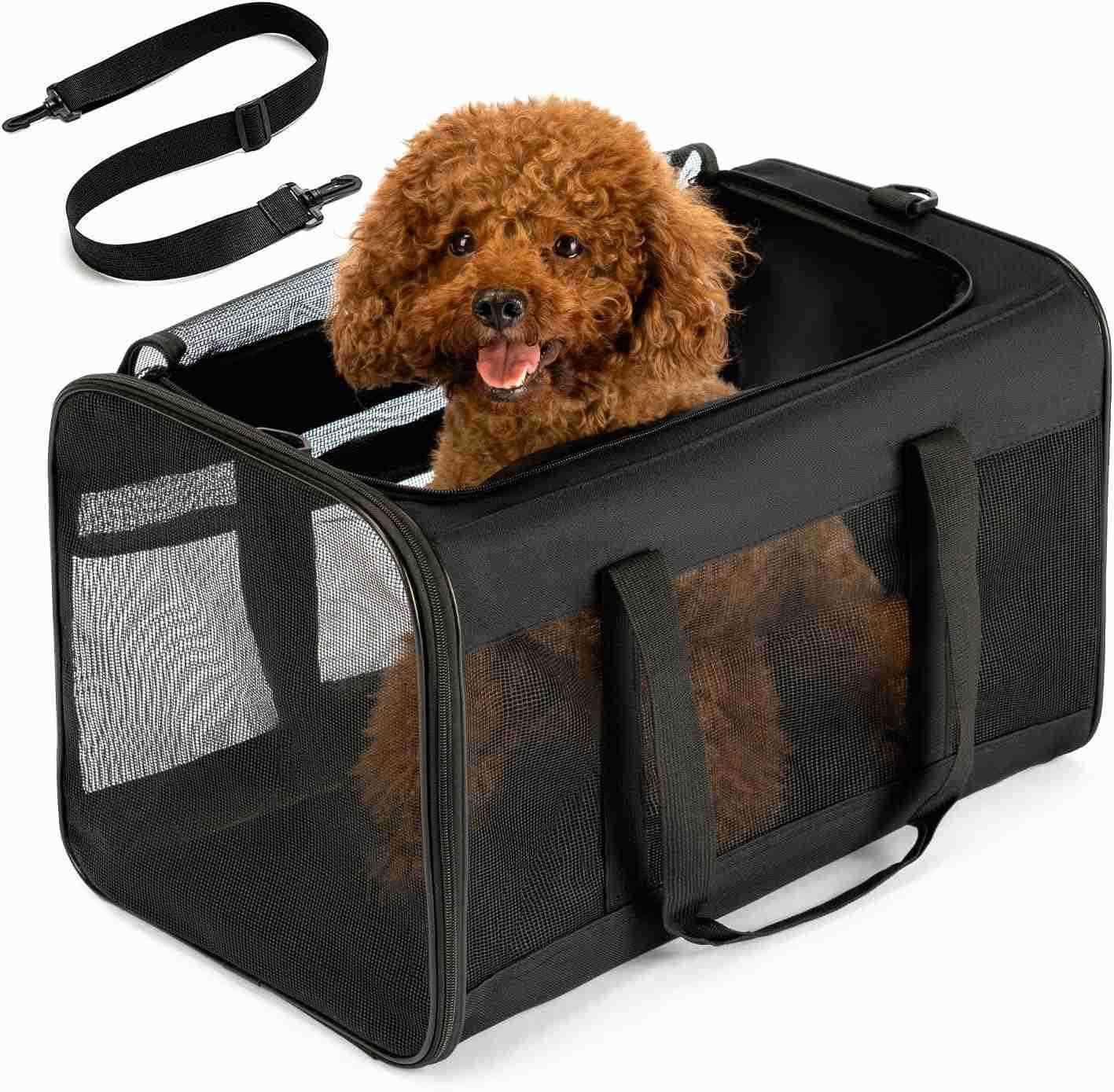 Dog Carrier BagSoftSided Pet Carriers for Dogs with 4Sided Mesh Cat Transport for Large Cats Small Dog Up to 20lbCollapsible Dat Travel CarrierLBlackW