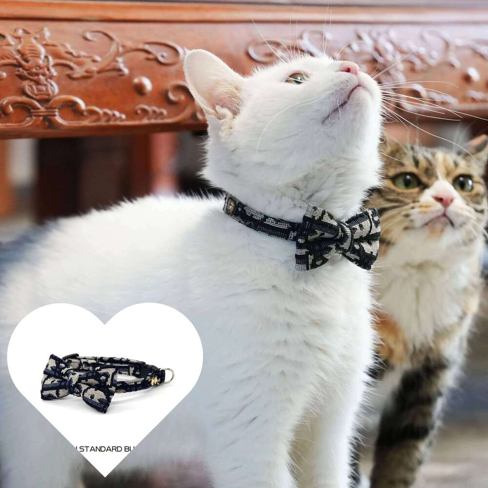 Dog Cat Collars Leash Stuff Pet Collar Cute Accessories Harnesses Leads Kitten Small Animal Detachable Harness Fashion