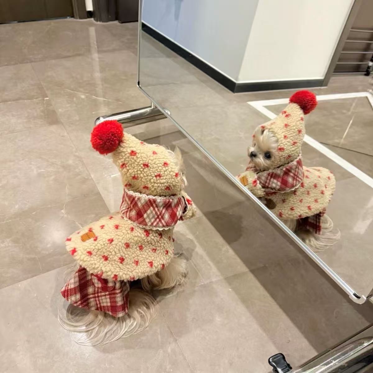 T1194 Autumn and winter double-layer thickened small and medium-sized dog clothes for Teddy, Bichon, Corgi, French bulldog, pet cat clothes and access