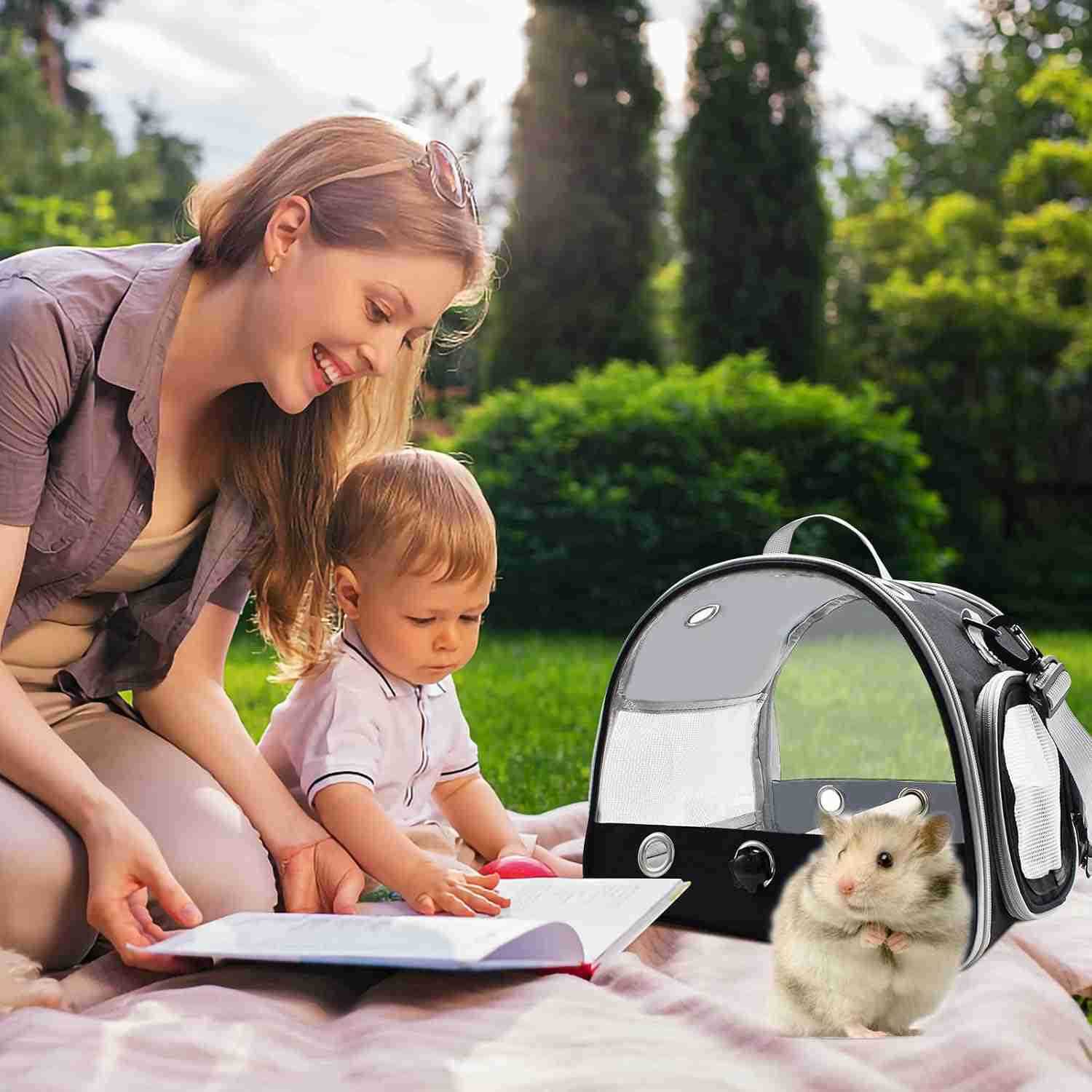 Bird Travel Carrier with Standing PerchLightweight Breathable Parrot Cage Small Pet Carrier Bag with Shoulder StrapBird Rat Guinea Pig Squirrel Carrie