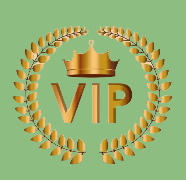 VIP customer customized link gift watch exquisite watch automatic mechanical watch batch customizationMen's Watches passageway GG