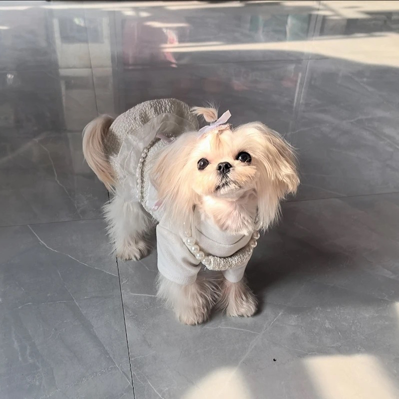 Luxry Pet Pearl Princess Dress with Rhinestone Baby Ruffled Tulle Elegant Gown for Small Dogs Maltese Bichon Yorkshire Terrier Ideal for Parties Weddi