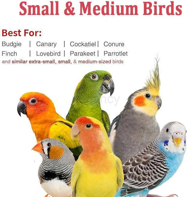 Small Bird Travel Carrier Portable Bird Travel Carrier for Parakeet Parrot Budgie Guinea Pig Bearded Dragon Reptile Carrier for Hiking Vet Visit Bicyc