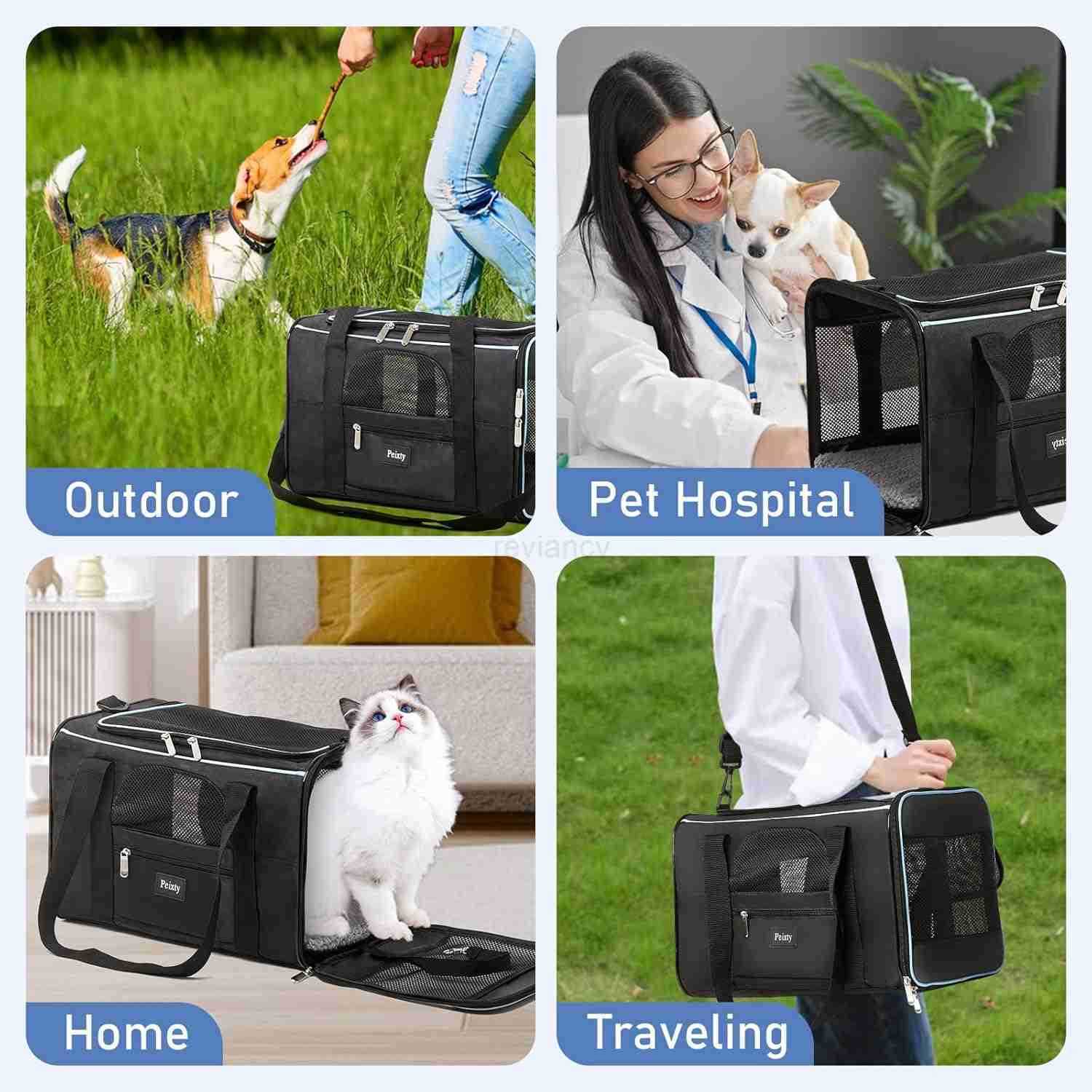 Pet Carrier for CatsSmall Dogs Under 15 Lbs17x11x11 InchesDeltaAmericanUnited Airline Approved Carriers Cats SoftSided CarriersPet Travel Carrier BagW