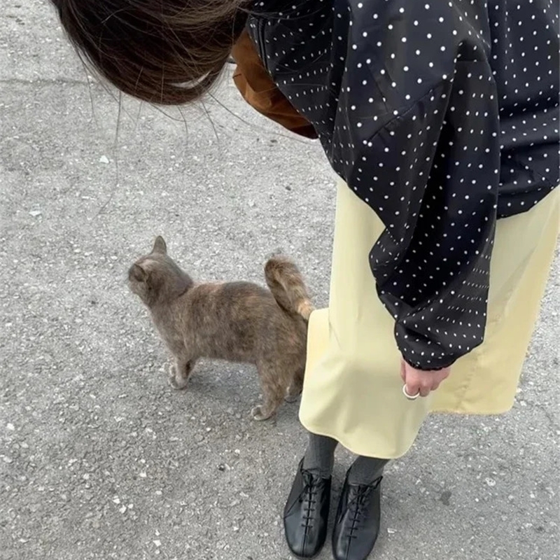 Polka Dot Printed Jackets Womens Fashion Long Sleeve Zipper Loose Short Coat Autumn Lady Daily Commute Outerwear 250911