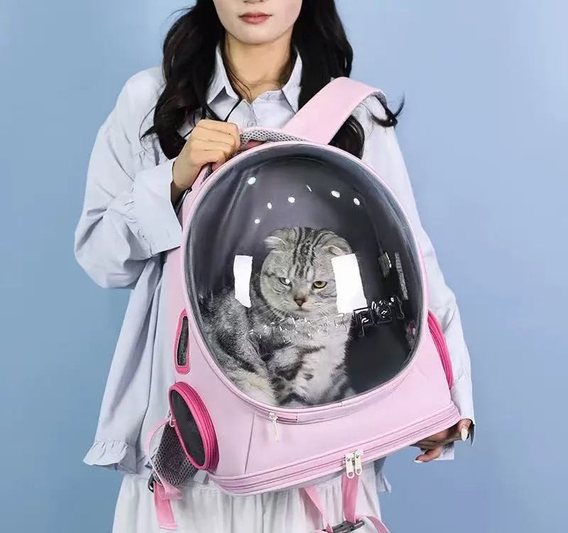 Cat pet bag portable outdoor backpack large capacity transparent visible window ventilated small dog bag large viewing area