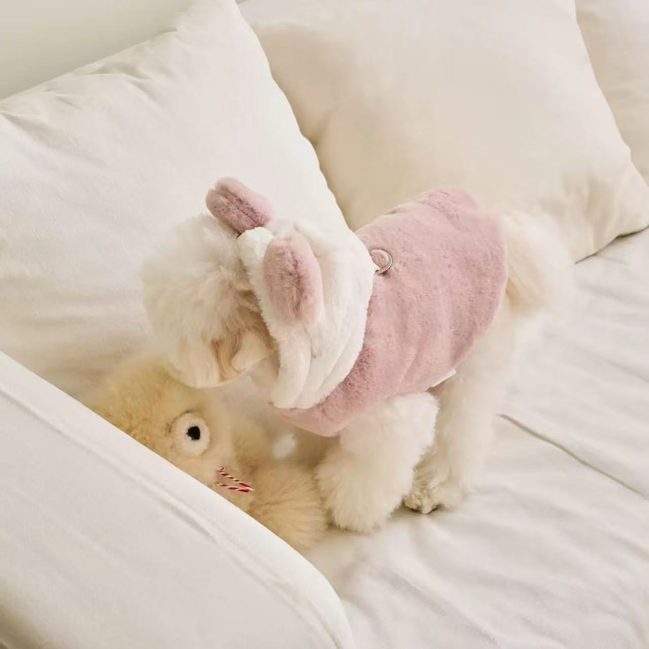 T1225 Autumn and winter new arrival dog and cat warm coat bear transformation outfit can pull Bichon Teddy Pomeranian pet clothes
