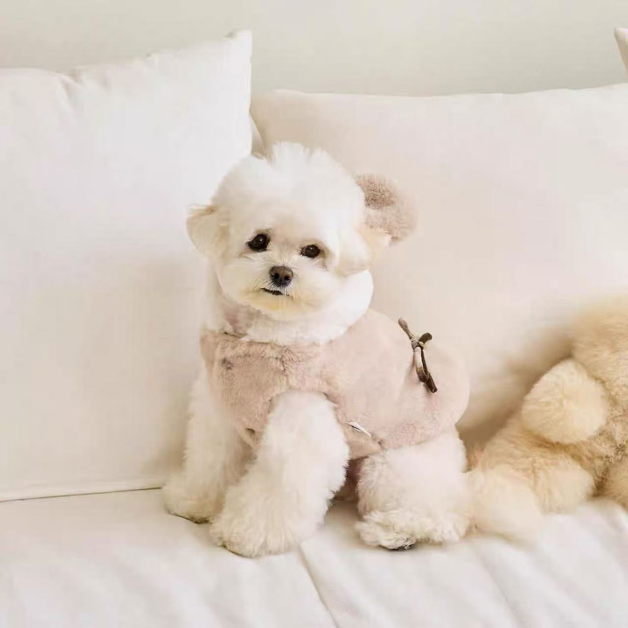 T1225 Autumn and winter new arrival dog and cat warm coat bear transformation outfit can pull Bichon Teddy Pomeranian pet clothes