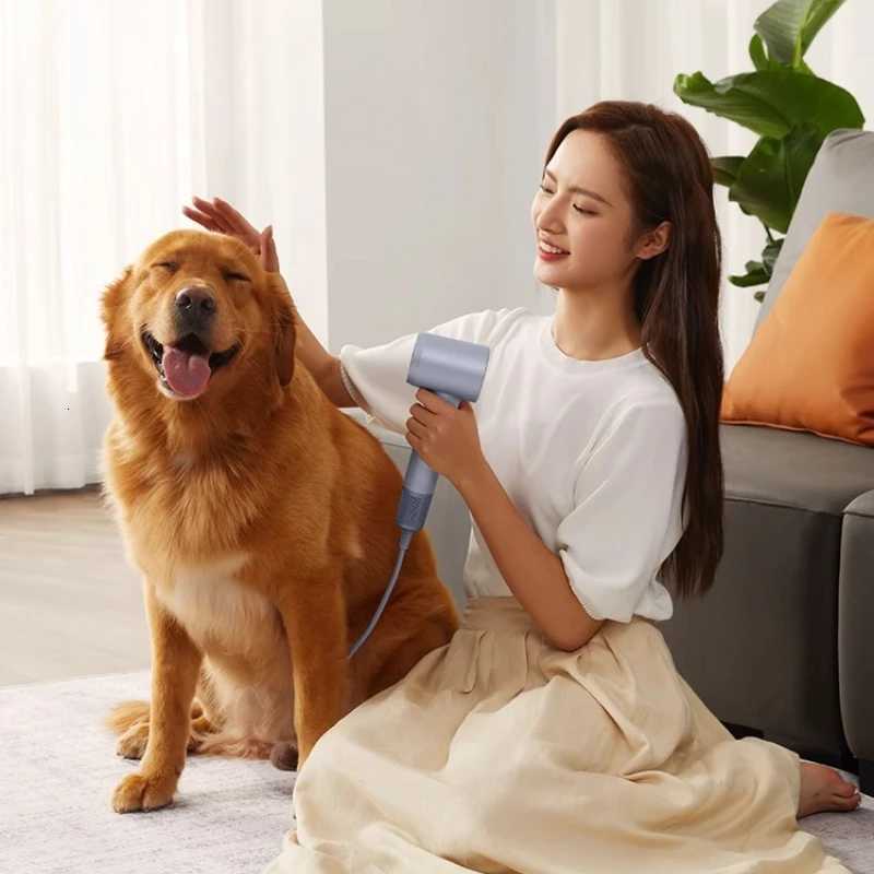 Laifen High Speed Hair Dryer Household Negative Ion Hair Care Quick Drying Large Wind Small Household Appliances F250913