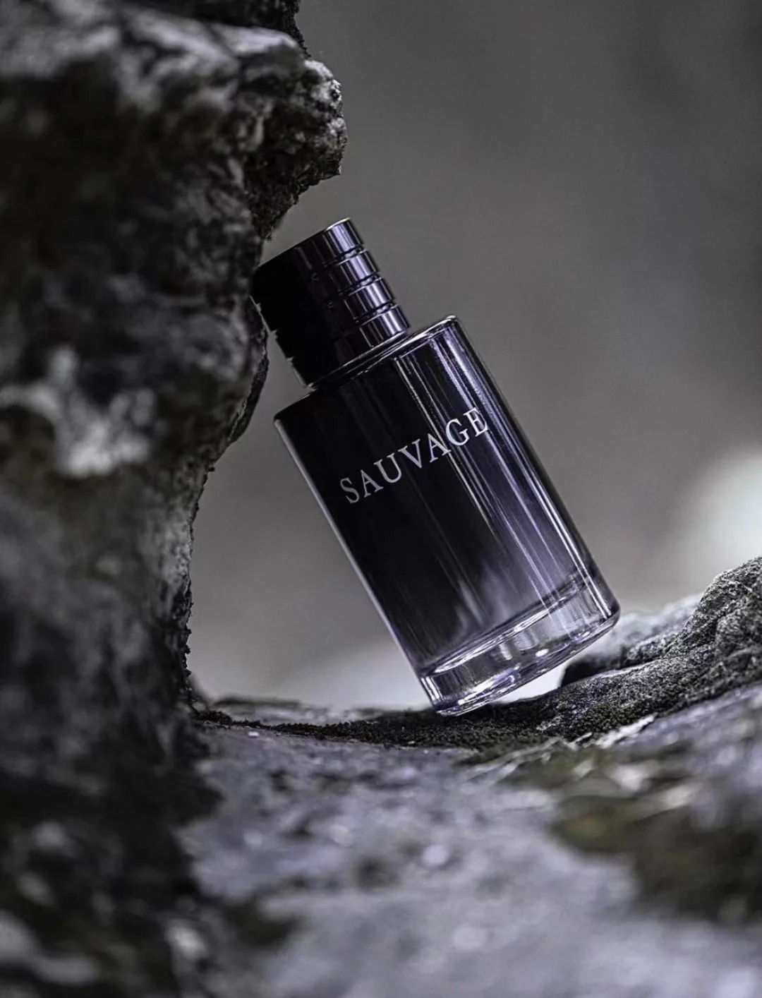 High quality Original luxury perfum men colonge perfume designer womens fragrance perfume 100ml 3.4oz Magnetic lid wilderness long lasting scent fast shipping