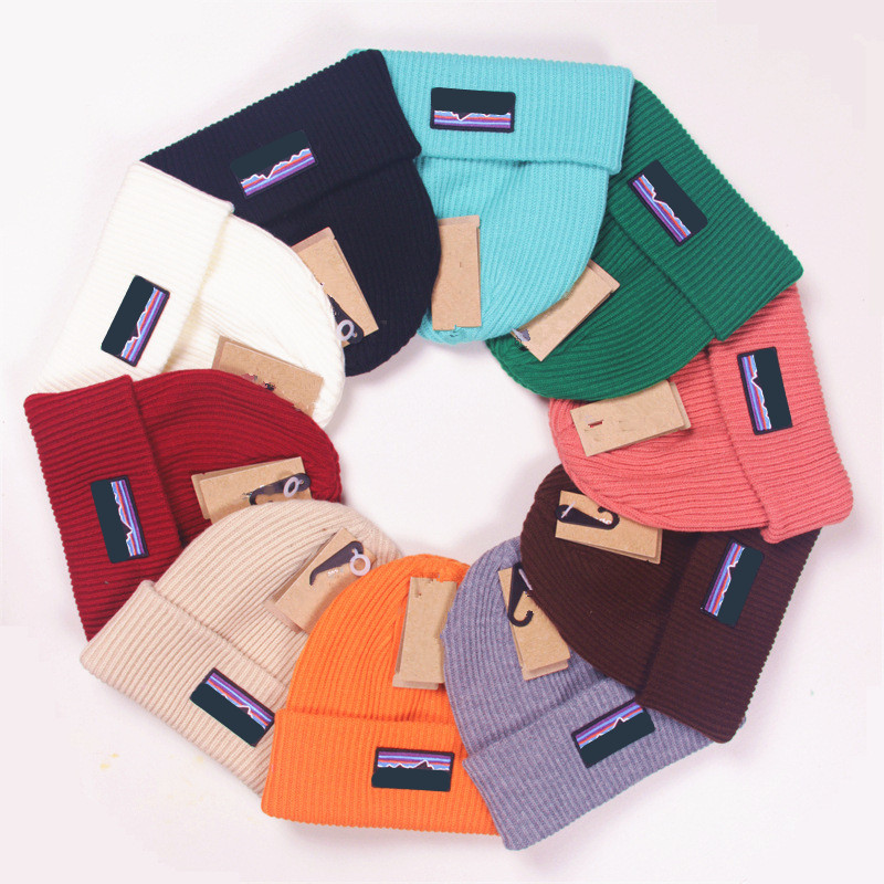 Beanie Bonnet Women Designer Men Beanie Hat Patagonias Beanies Hats Designer Cap Winter Caps Luxury Mens Beanies Winter Skull Cap