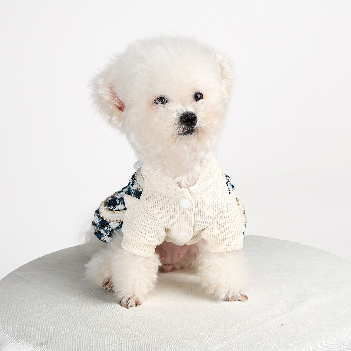 Pet Puppy Cat Clothes Autumn Winter New Blue Noble Dress Skirt