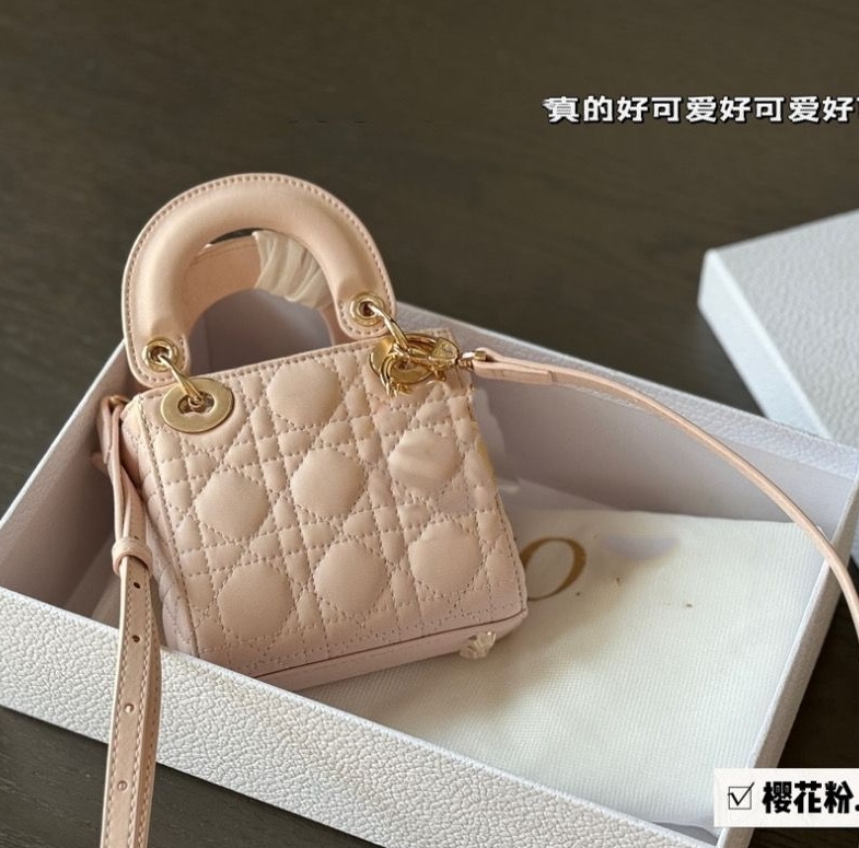 Princess Diana Bag for Women 2025 New Trendy Temperament European and American High-end Ladies Hand-held Cross-body Bag 2288