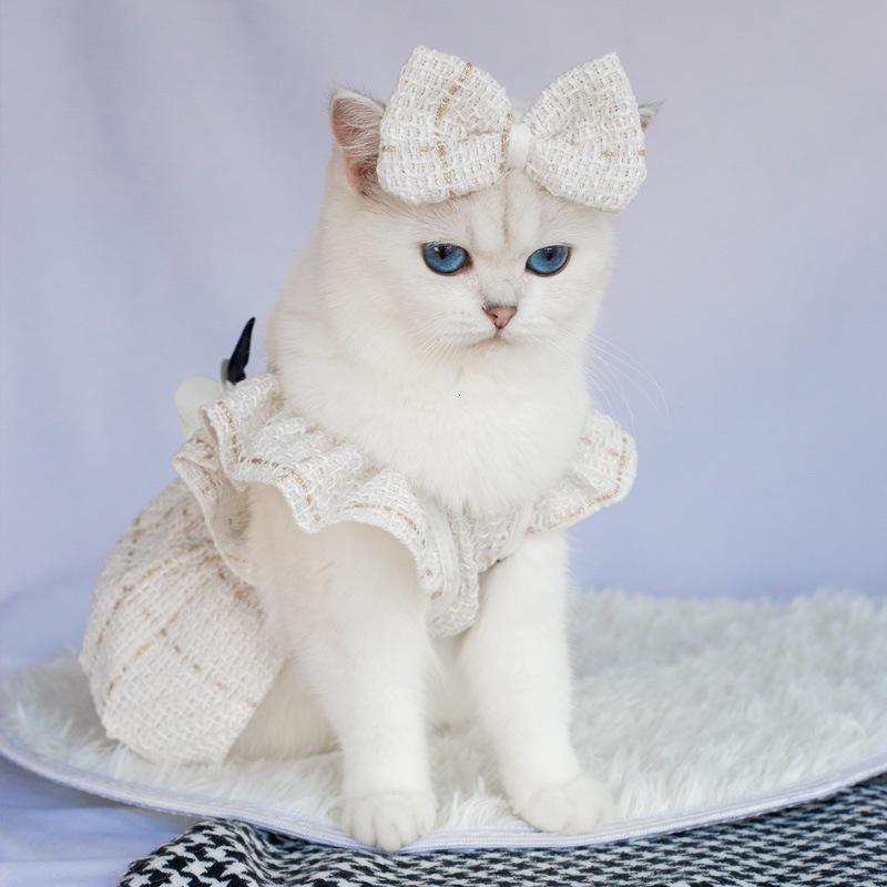 Chanel Style Black White Clothes Spring and Autumn Small Dog Teddy Pet Apparel Little Cat Dress