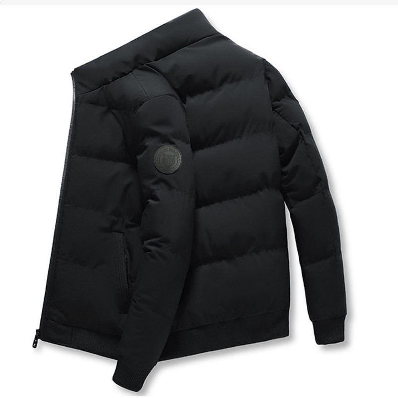 Autumn and winter mens cotton jacket casual warmth standing collar trend fashionable guy Korean version 240610