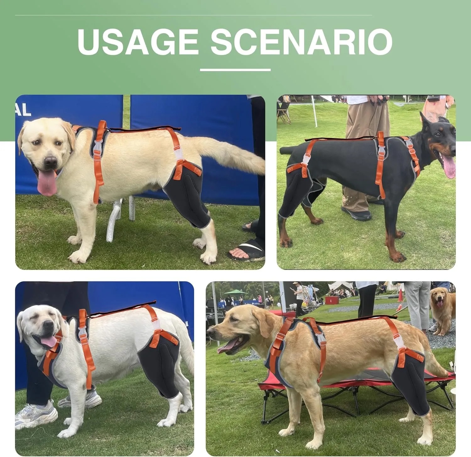 Dog knee pads are suitable for torn hind legs, patella dog leash and cruciate ligament