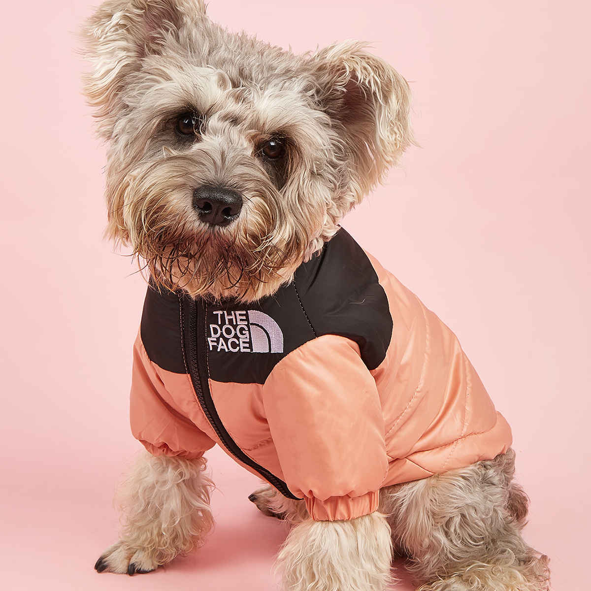 Pet Winter Warm Cotton Coat for Small and Medium Dogs Trendy Embroidered Jacket Dog Cat Clothes