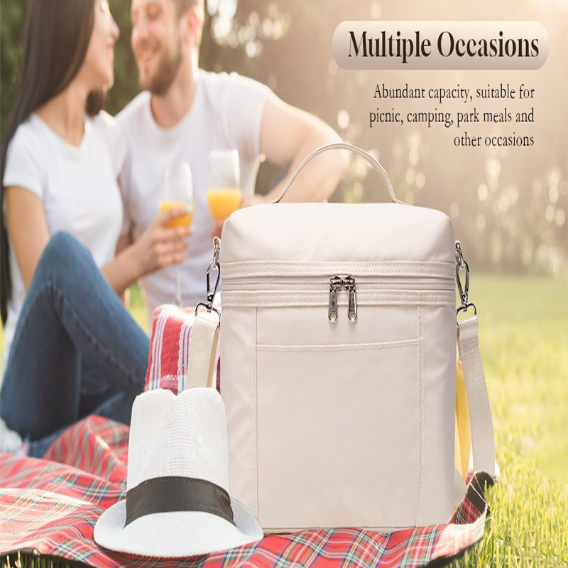 Icedog-insulated lunch bags for women lightweight waterproof cooler bag with nylon exterior thermal lunch box for work, office, picnic outdoor activit