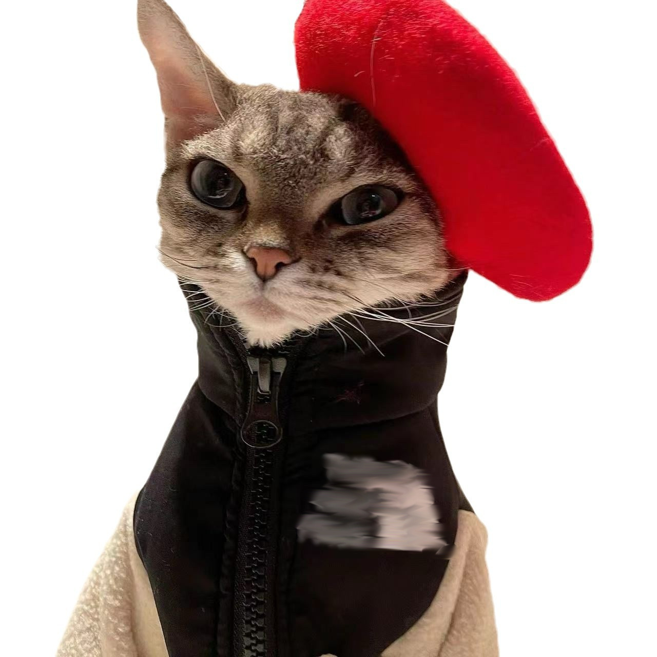 Sphynx Devon Rex Hairless Cat Trendy Winter Fleece Warm Sweatshirt Coat Pet Dog Clothes