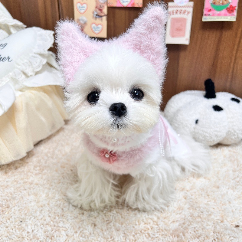 Winter Pet Mink Velvet Beaded Flower Warm Vest Dress for Dogs and Cats Bichon Maltese Corgi Pomeranian Yorkshire Terrier