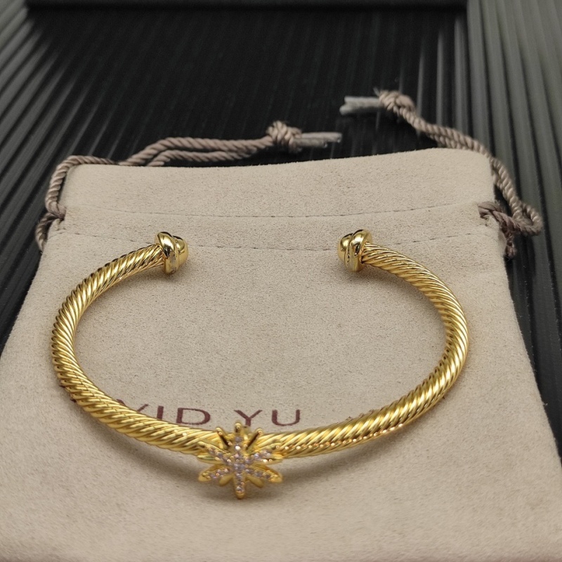 E6432 Unisex Davidlys Bracelet Bangle Charm Bracelets Designer Jewelry Precision Edition Bracelet Men's New Trend Hip Hop