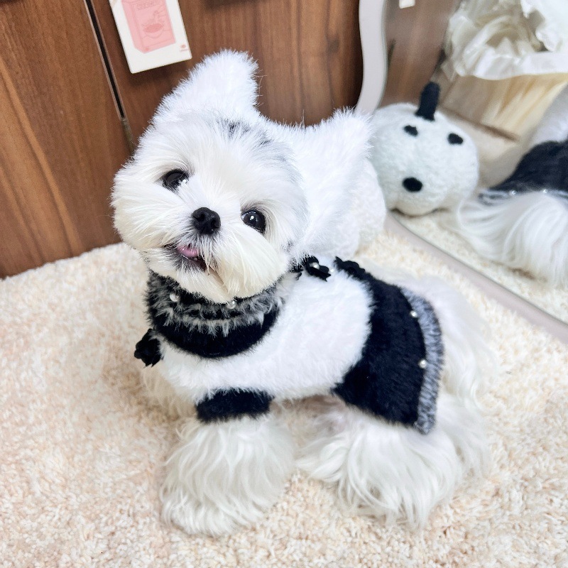 Winter Pet Mink Velvet Beaded Flower Warm Vest Dress for Dogs and Cats Bichon Maltese Corgi Pomeranian Yorkshire Terrier