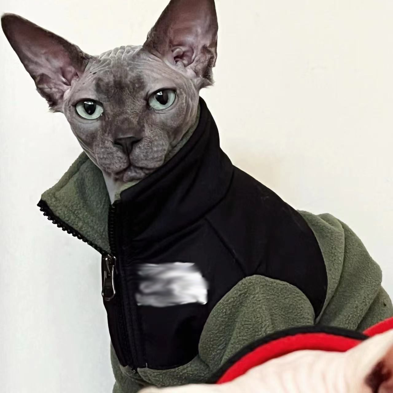 Sphynx Devon Rex Hairless Cat Trendy Winter Fleece Warm Sweatshirt Coat Pet Dog Clothes