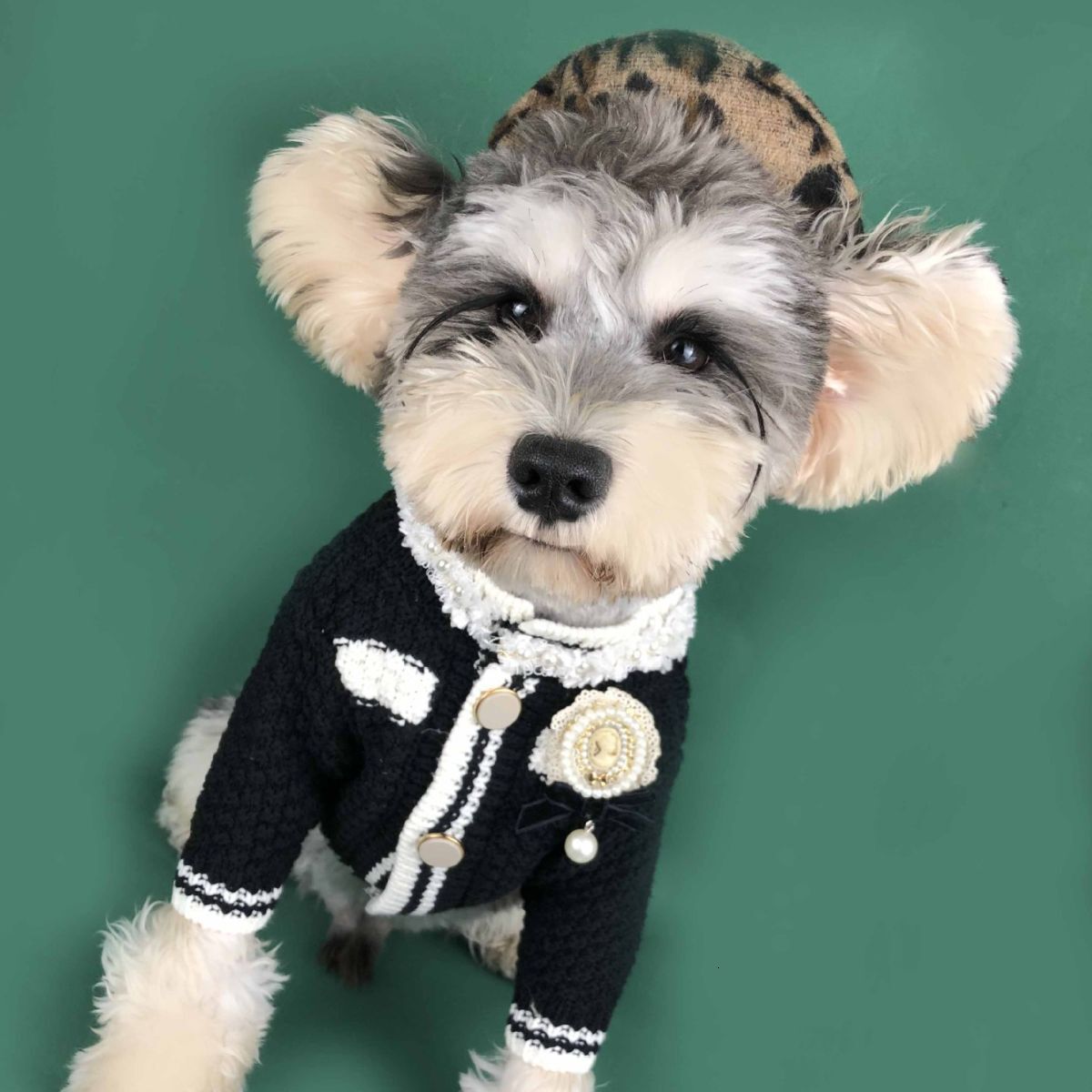 Dog Spring Sweater Cardigan Schnauzer Pomeranian Teddy Corgi Pug Cat Pet Clothes