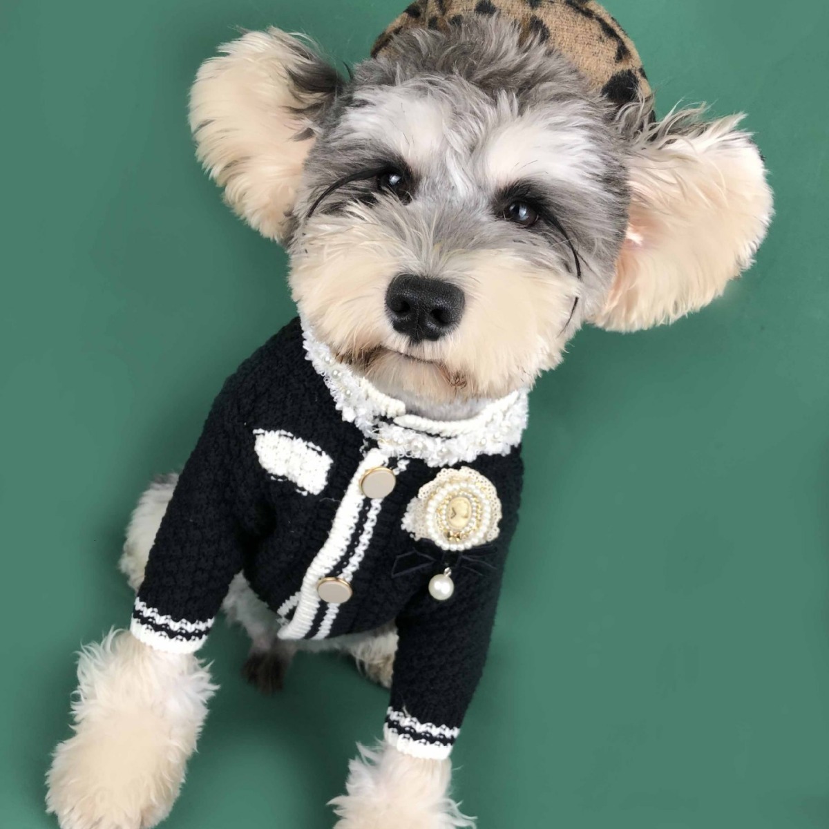Dog Spring Sweater Cardigan Schnauzer Pomeranian Teddy Corgi Pug Cat Pet Clothes