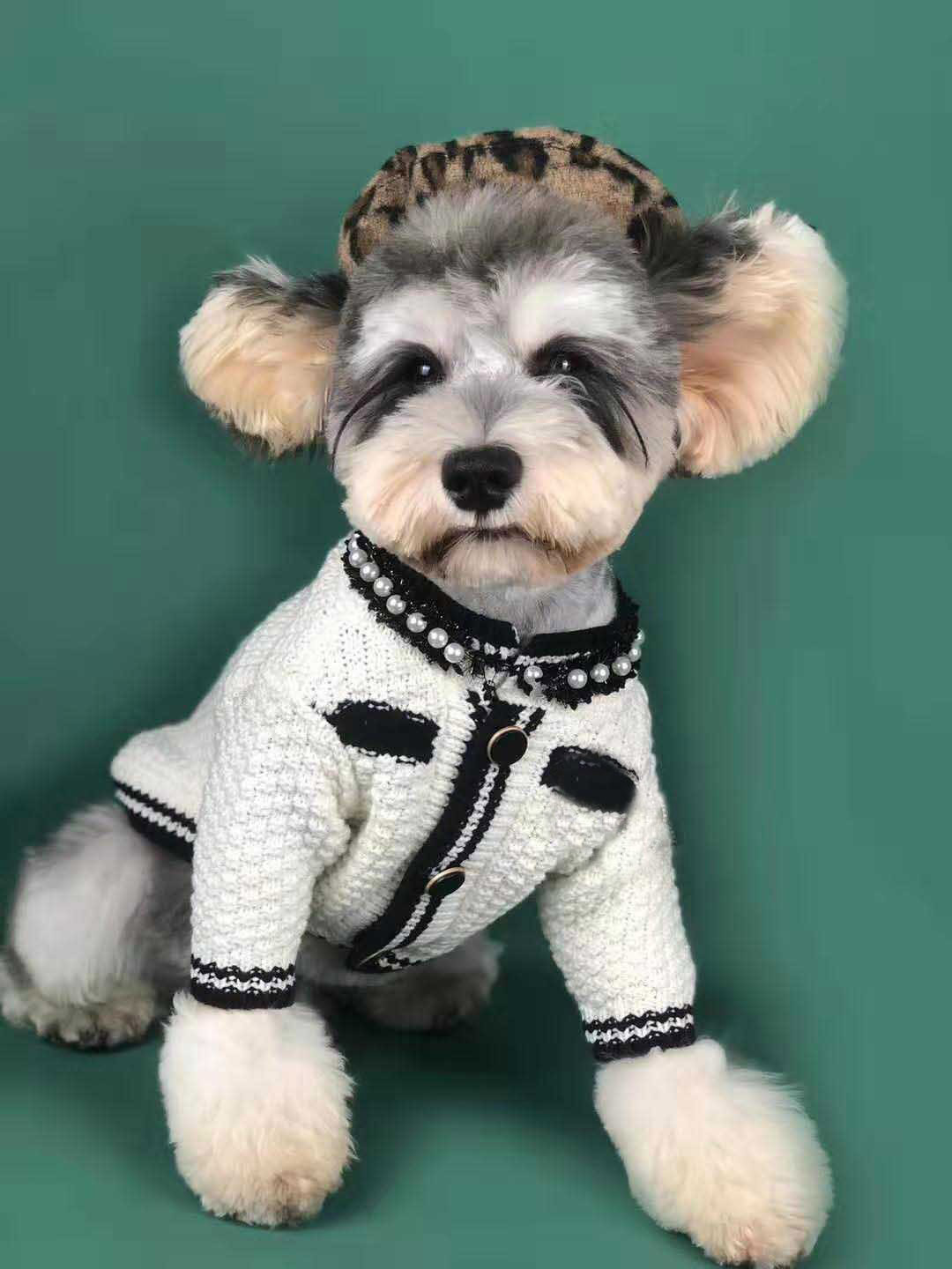 Dog Spring Sweater Cardigan Schnauzer Pomeranian Teddy Corgi Pug Cat Pet Clothes