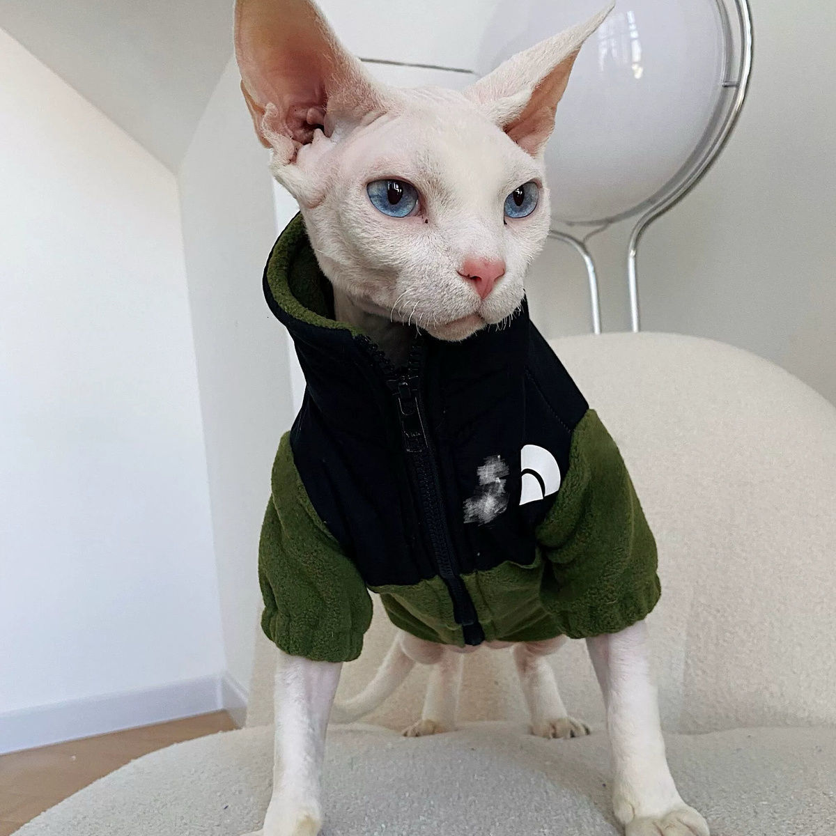 Sphynx Devon Rex Hairless Cat Trendy Winter Fleece Warm Sweatshirt Coat Pet Dog Clothes