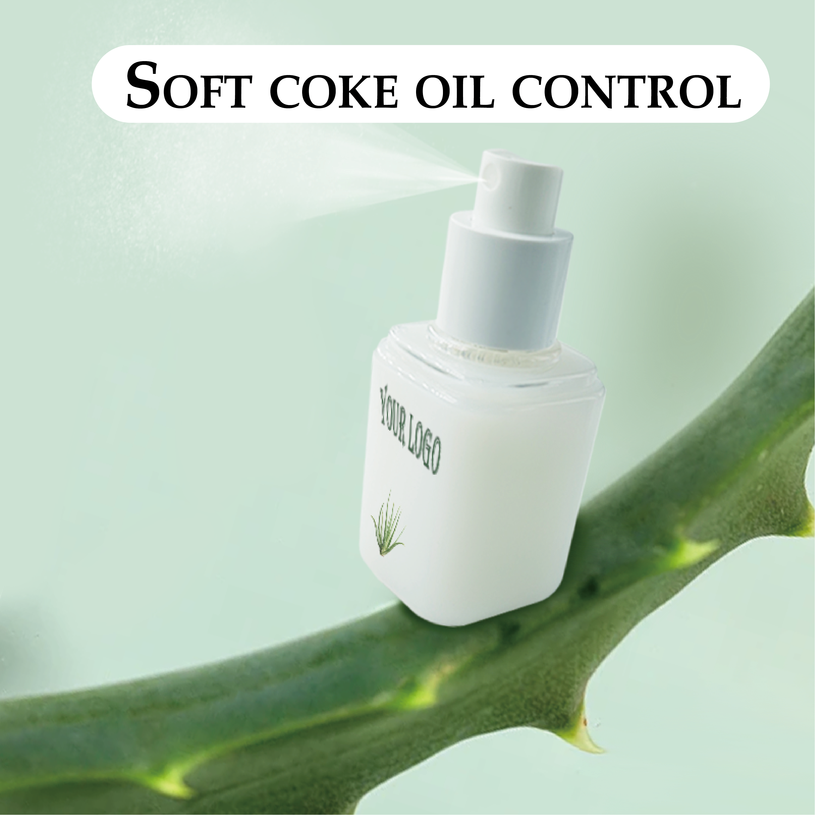 Foundation Primer Create Your Brand with Long - lasting Waterproof Matte Makeup Setting Spray - Ultimate Oil - blotting Effect DH-MT103